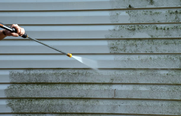 Animal Enclosure Cleaning in Otsego, MI